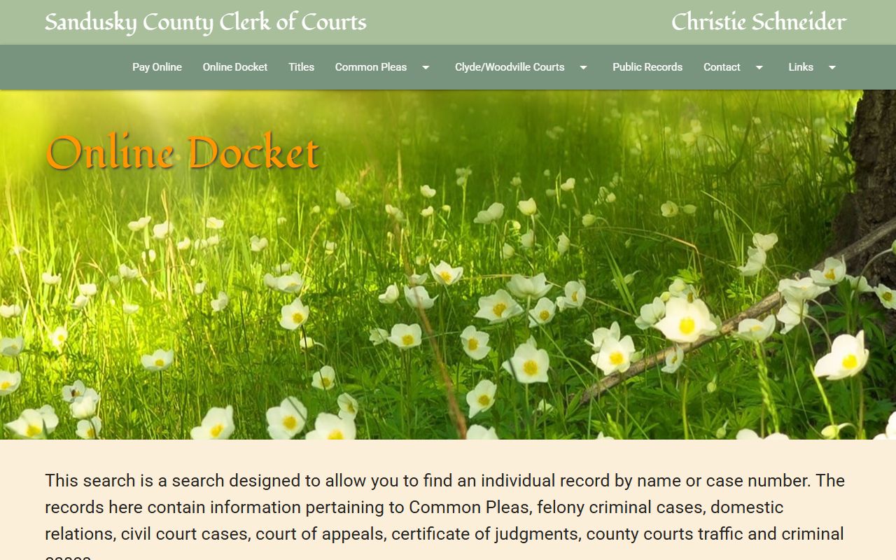 Erie County criminal court records resource page